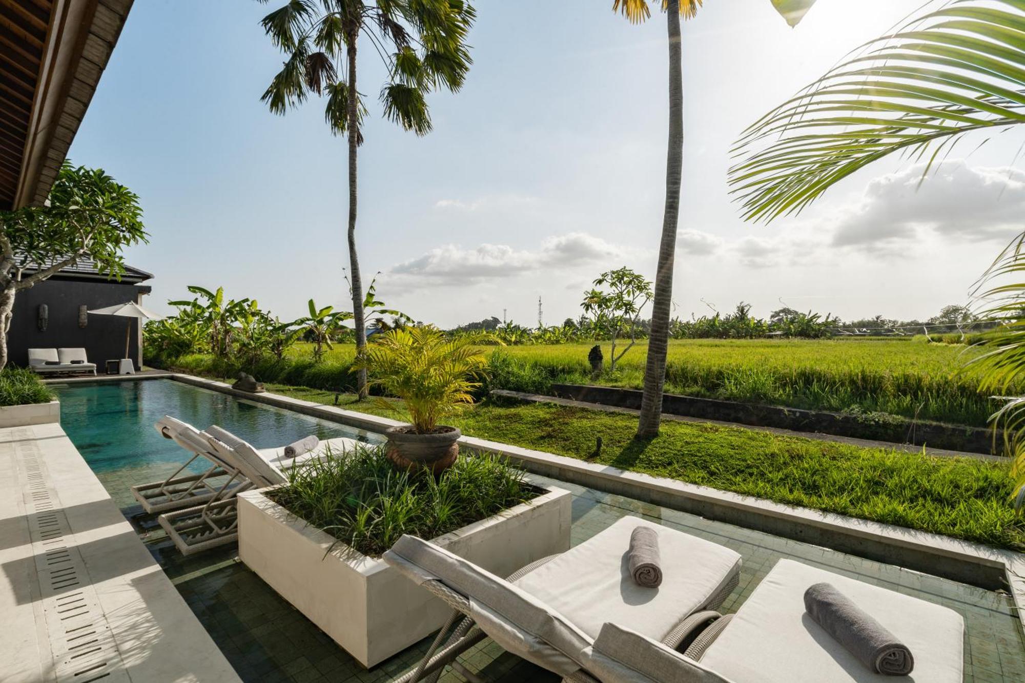Villa Mimpi By Balisuperhost Ubud  Ngoại thất bức ảnh